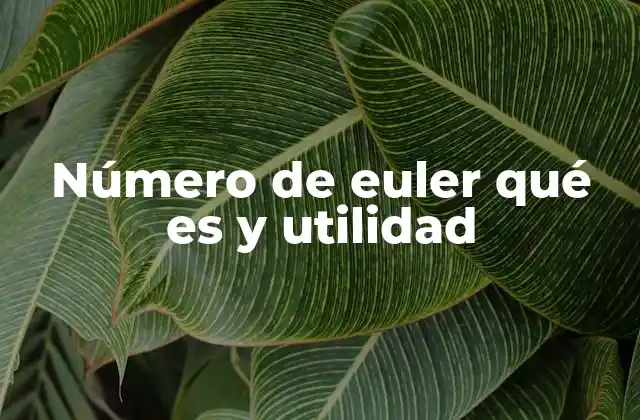 Número de Euler Qué es y Utilidad