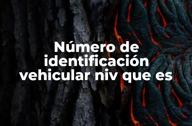 Número de Identificación Vehicular Niv que es
