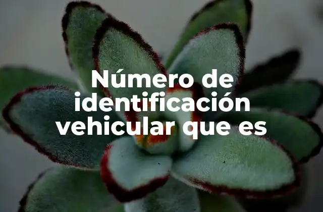 Número de Identificación Vehicular que es