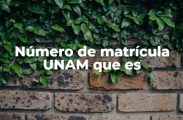 Número de Matrícula Unam que es