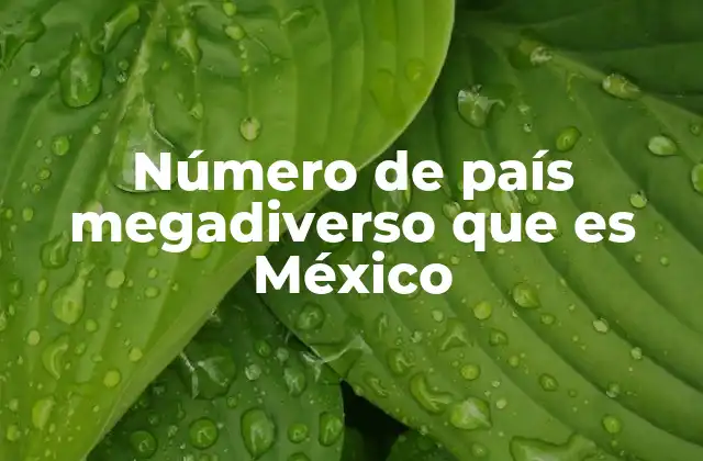 Número de País Megadiverso que es México