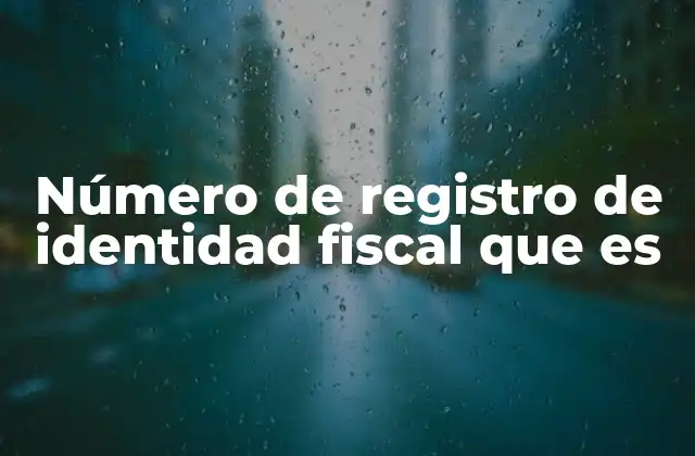Número de Registro de Identidad Fiscal que es
