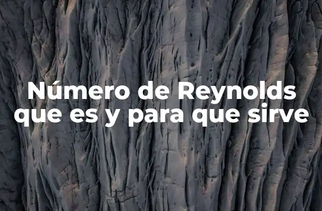 Número de Reynolds que es y para que Sirve