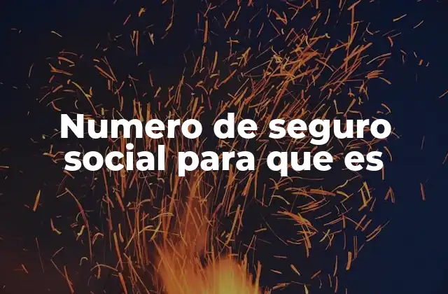 Numero de Seguro Social para que es