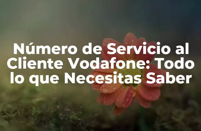Número de Servicio Al Cliente Vodafone: Todo Lo que Necesitas Saber