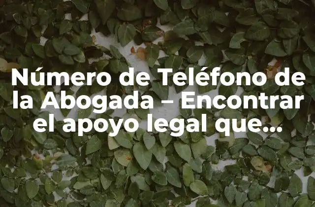 Número de Teléfono de la Abogada – Encontrar el Apoyo Legal que Necesitas
