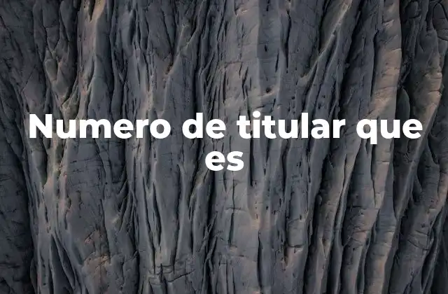 Numero de Titular que es