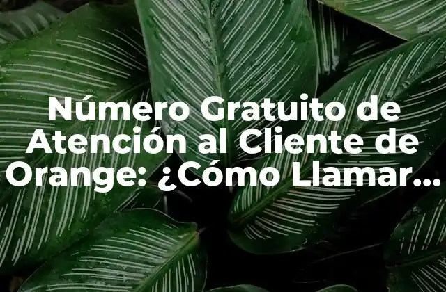 Número Gratuito de Atención Al Cliente de Orange: ¿cómo Llamar y Obtener Ayuda?
