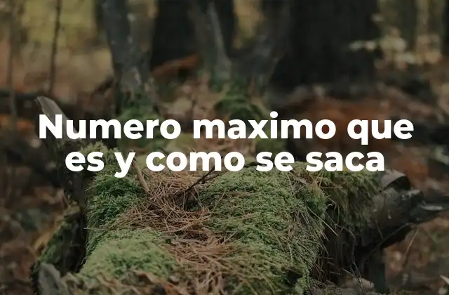 Numero Maximo que es y como Se Saca