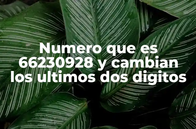 Numero que es 66230928 y Cambian los Ultimos Dos Digitos
