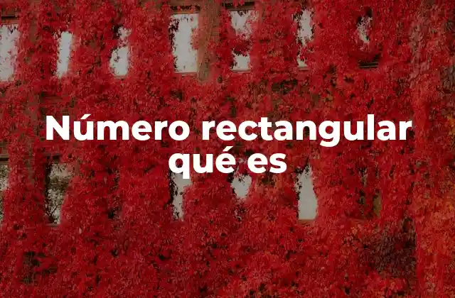 Número Rectangular Qué es 2 Diferencias entre números rectangulares y cuadrados