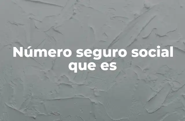 Número Seguro Social que es