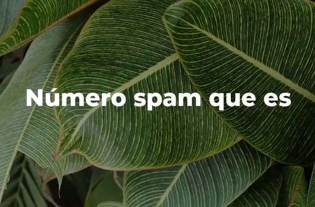 Número Spam que es