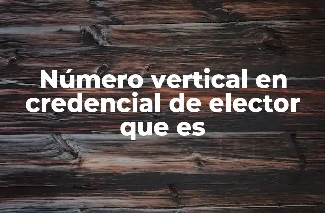 Número Vertical en Credencial de Elector que es