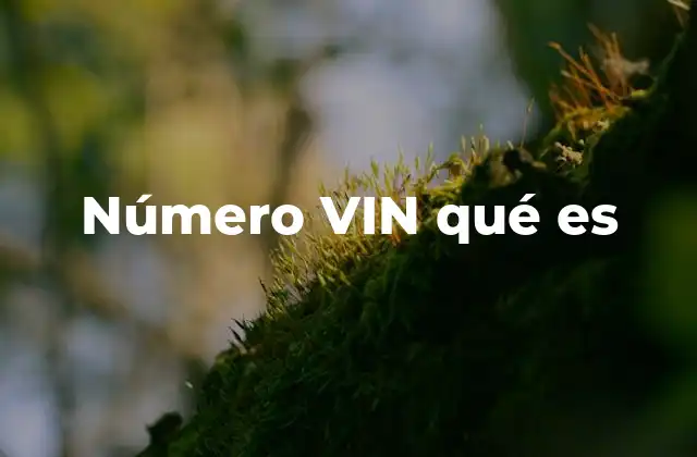 Número Vin Qué es