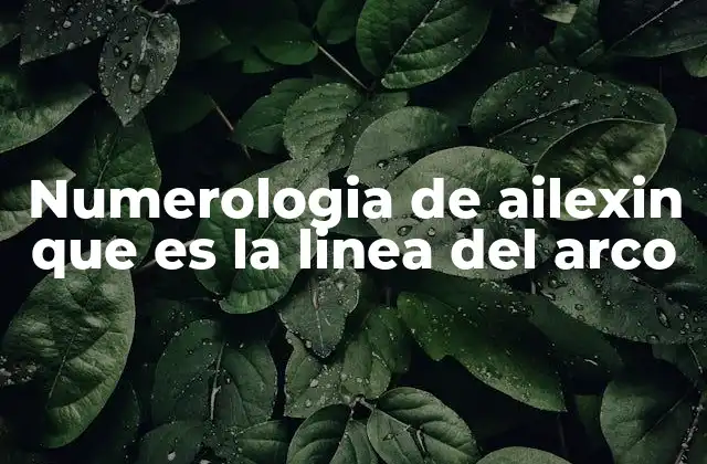 Numerologia de Ailexin que es la Linea Del Arco