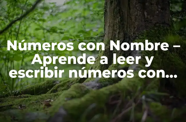 Números con Nombre – Aprende a Leer y Escribir Números con Facilidad