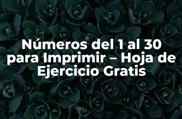 Números Del 1 Al 30 para Imprimir – Hoja de Ejercicio Gratis
