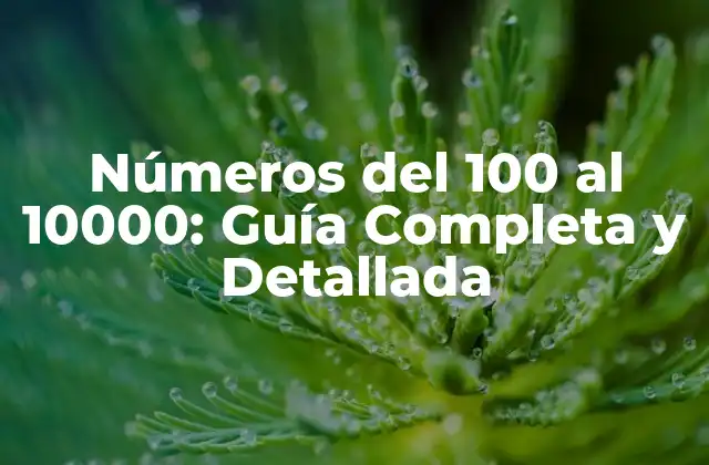 Números Del 100 Al 10000: Guía Completa y Detallada
