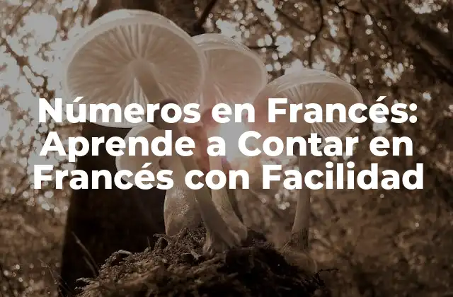 Números en Francés: Aprende a Contar en Francés con Facilidad