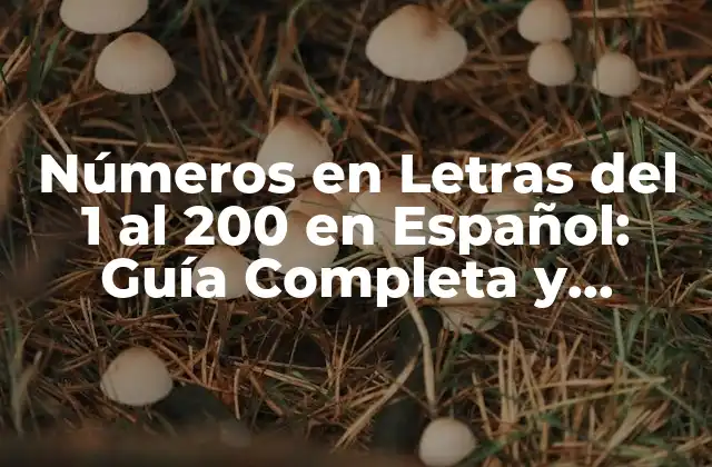 Números en Letras Del 1 Al 200 en Español: Guía Completa y Detallada