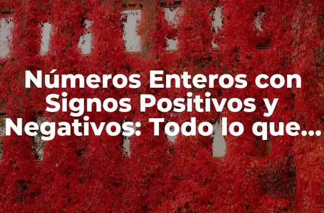 Números Enteros con Signos Positivos y Negativos: Todo Lo que Necesitas Saber