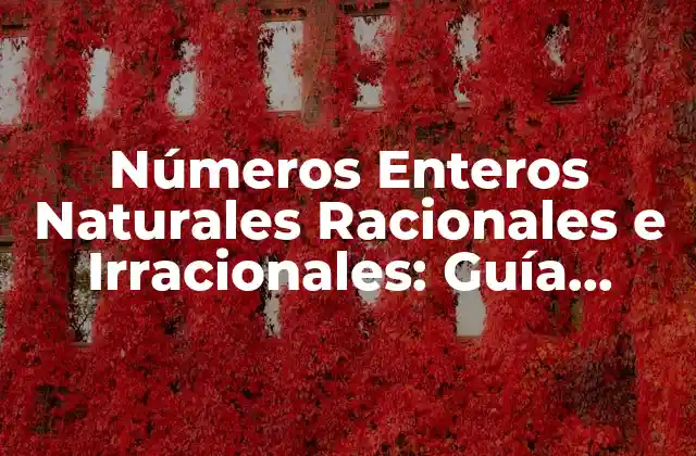 Números Enteros Naturales Racionales e Irracionales: Guía Completa