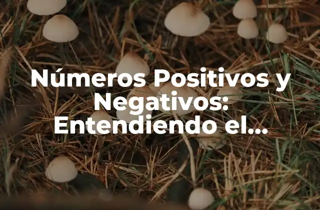 ¿Qué son los Números Positivos?
