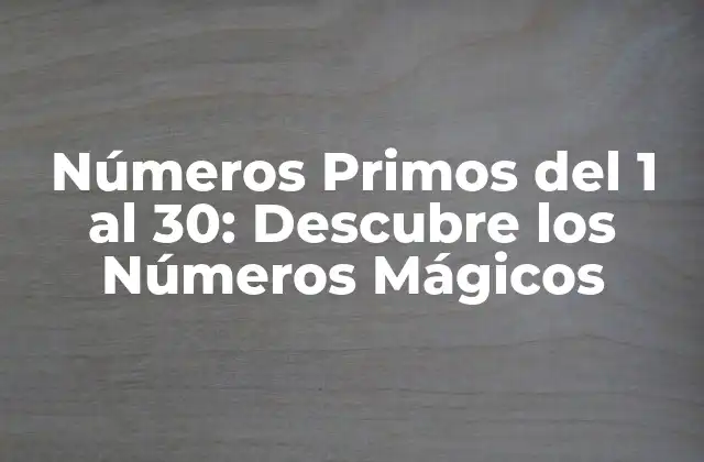 ¿Qué son los Números Primos?