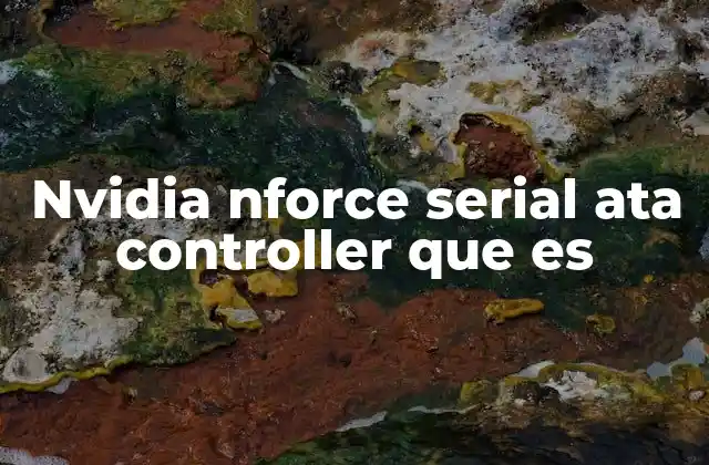 Funciones del NVIDIA nForce Serial ATA Controller