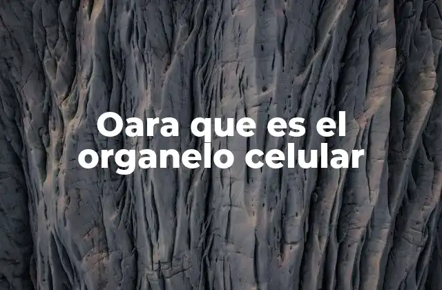 Oara que es el Organelo Celular