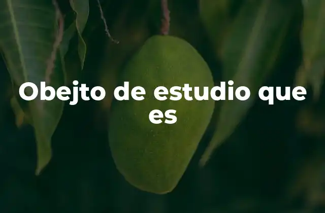 Obejto de Estudio que es