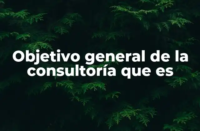 Objetivo General de la Consultoría que es