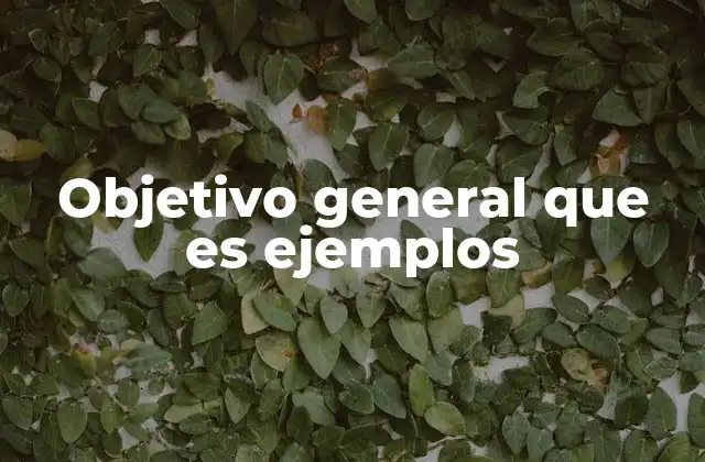 Objetivo General que es Ejemplos