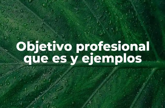 La importancia de tener objetivos profesionales en tu vida laboral
