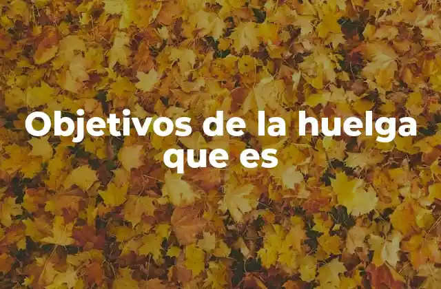 Objetivos de la Huelga que es