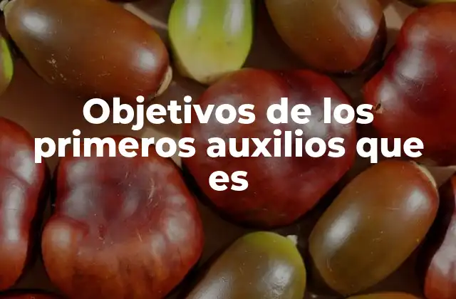 Objetivos de los Primeros Auxilios que es