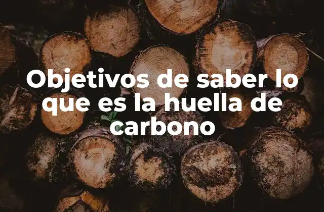 Objetivos de Saber Lo que es la Huella de Carbono