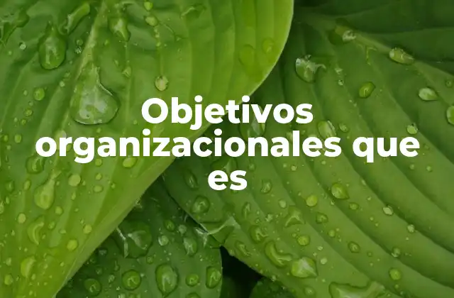 Objetivos Organizacionales que es