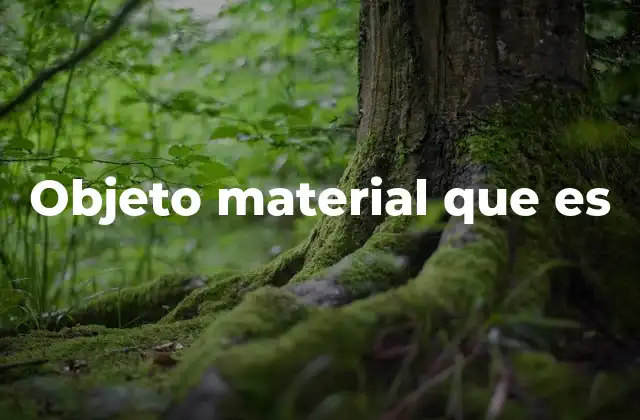 Objeto Material que es