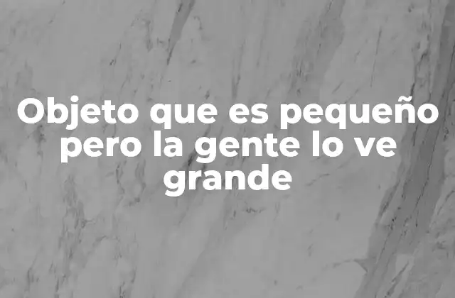 Objeto que es Pequeño pero la Gente Lo Ve Grande