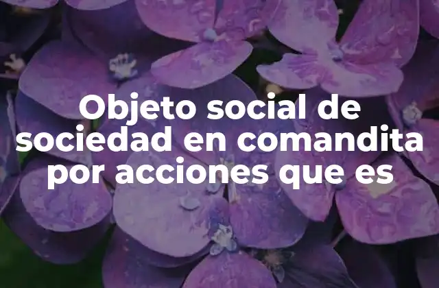 Objeto Social de Sociedad en Comandita por Acciones que es