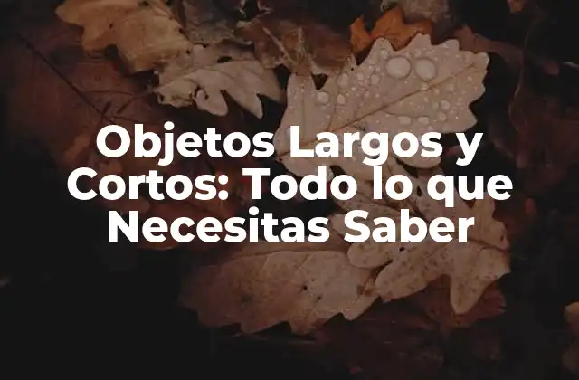 Objetos Largos y Cortos: Todo Lo que Necesitas Saber