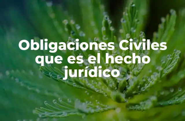 Obligaciones Civiles que es el Hecho Jurídico