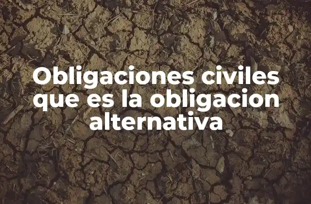 Obligaciones Civiles que es la Obligacion Alternativa