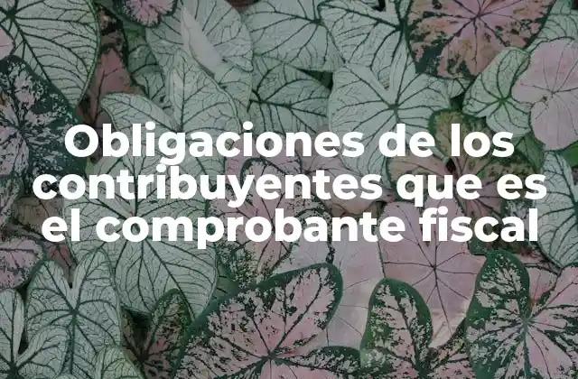 Obligaciones de los Contribuyentes que es el Comprobante Fiscal