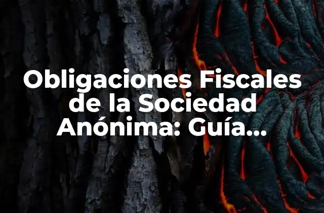 Obligaciones Fiscales de la Sociedad Anónima: Guía Completa