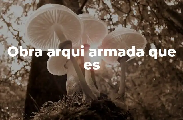 Obra Arqui Armada que es