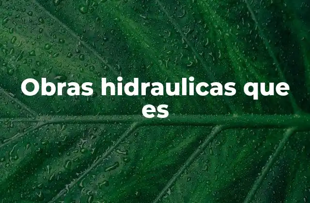 Obras Hidraulicas que es