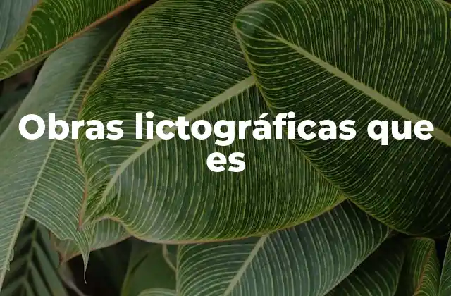 Obras Lictográficas que es